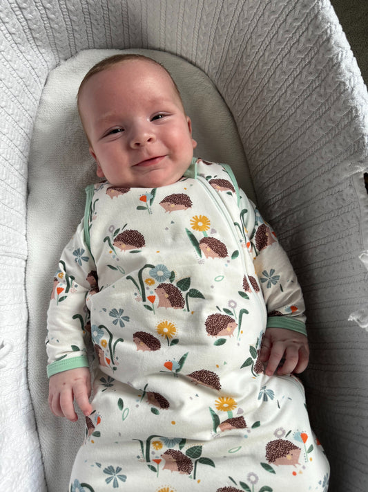 Hedgehog Baby Grow image 6